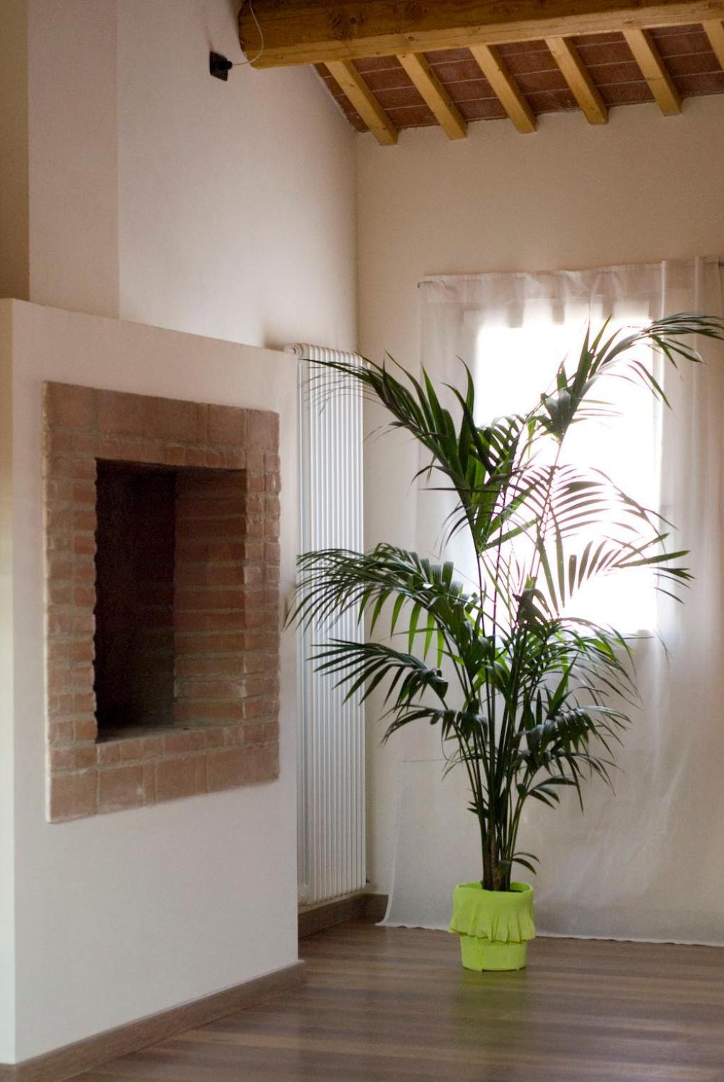 B&B Cittabella Cittadella Dış mekan fotoğraf